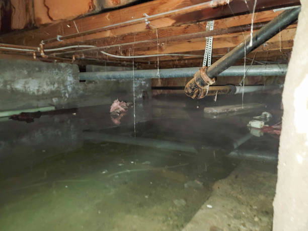 Trusted OK Water damage restoration Experts