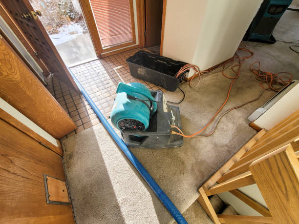Best Basement water damage restoration  in Snyder, OK