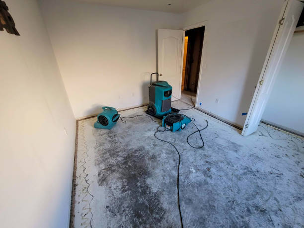 Best Ceiling water damage repair  in Snyder, OK