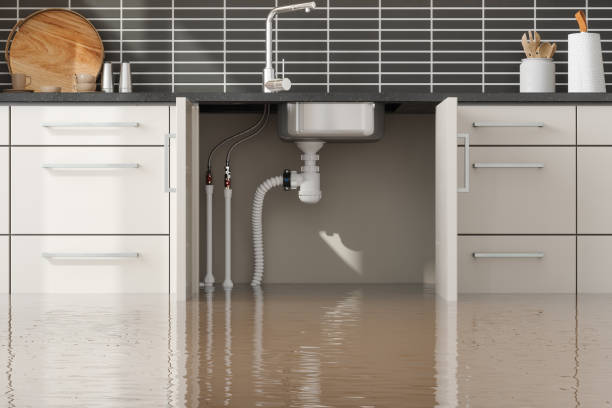 Best Flood damage cleanup  in Snyder, OK